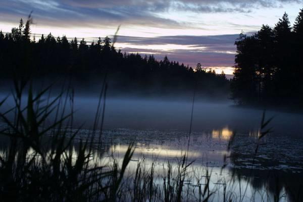 Harkaniemi Cottages Mikkeli Quarto foto